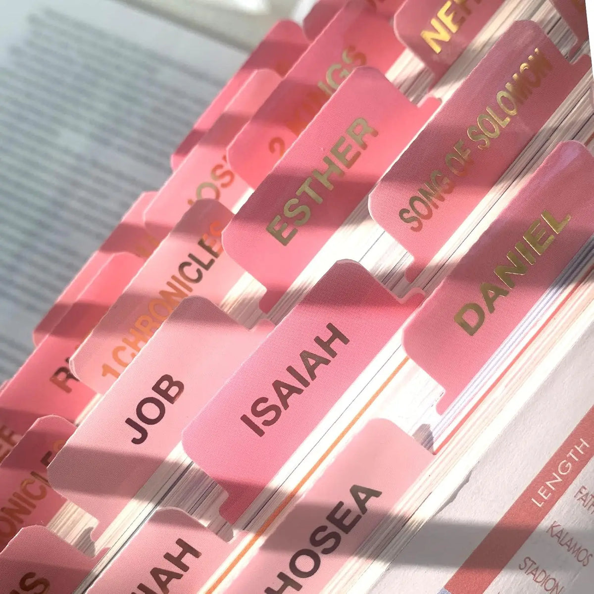 Pink laminated Bible tabs for women